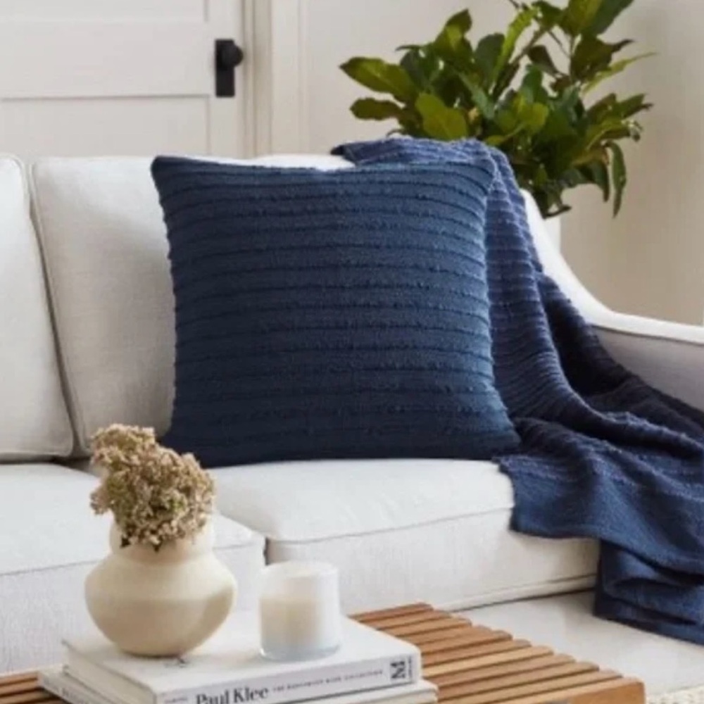 West Elm Blue Soft Corded Pillow Cover, 20"x20”